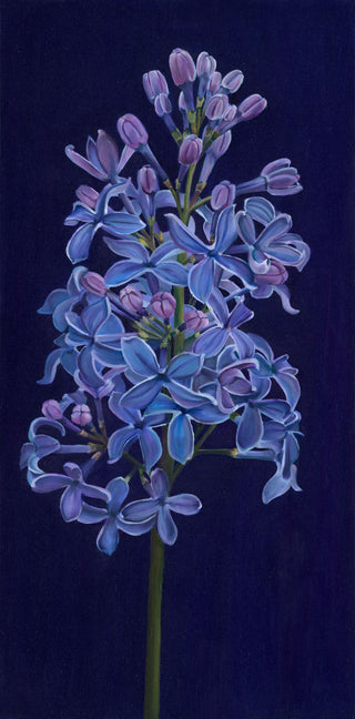 Lilac Print  "Ambrosial"