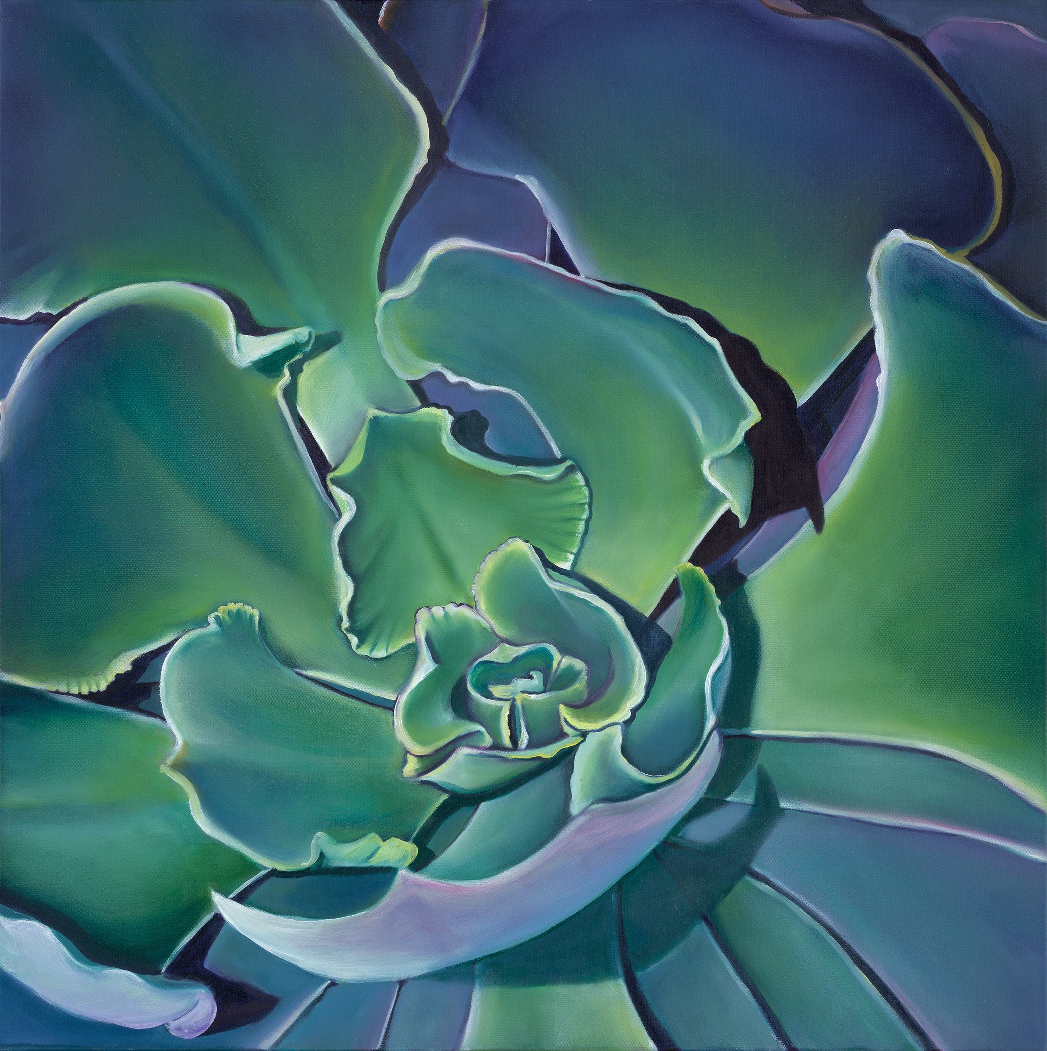 succulent prints Succulent Print- "Shadow Bloom" – Jess Quinn Art
