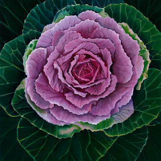 Cabbage Print- "Protected Soul"
