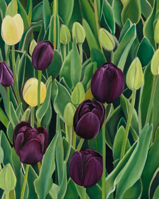 Tulip Print- "Farewell Gift"