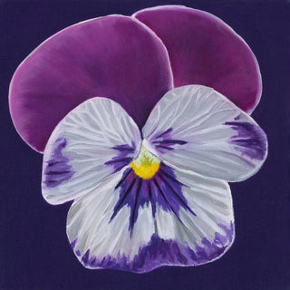 Pansy Print- "Harmony"