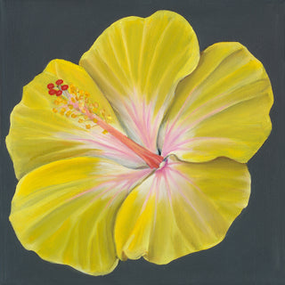 Hibiscus Print- "Radiance"