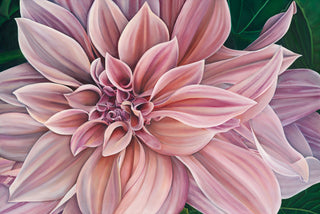 Stargazer