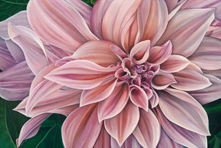 Stargazer