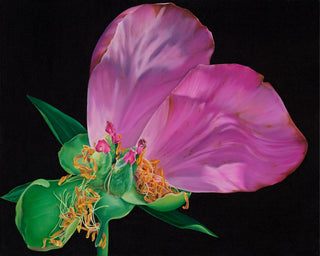 Fleeting Splendor
