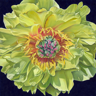 Peony Print-"Golden Dawn"