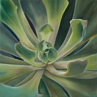 Succulent Print- "Aurora"