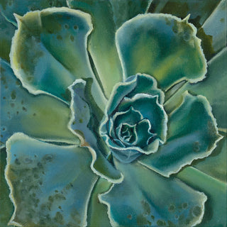 Succulent Print- "Brisk"