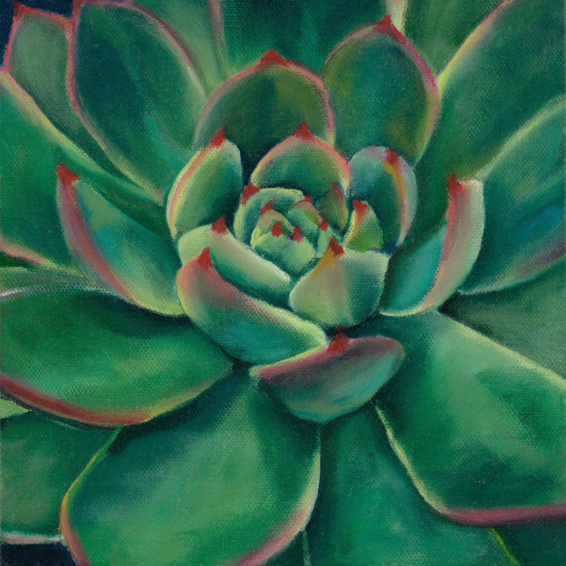 succulent print Succulent Print- "Dawn" – Jess Quinn Art