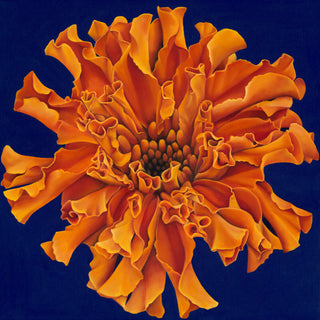Marigold Print- "Golden Offering"