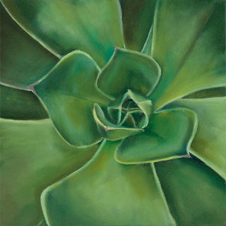 Succulent Print- "Light of Day"