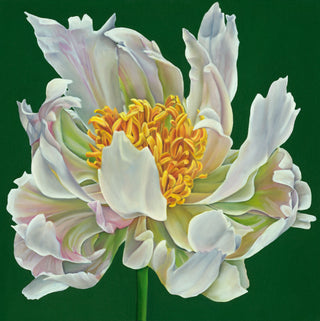 Peony Print- "Wild Purity"
