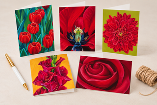 Red Card Collection
